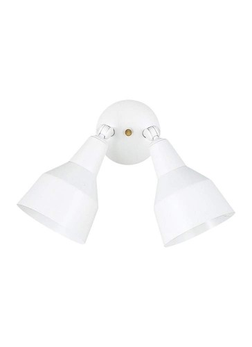 Sea gull lighting - sea, flood